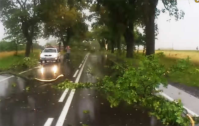 В Польше в результате ураганов погибли 5 человек